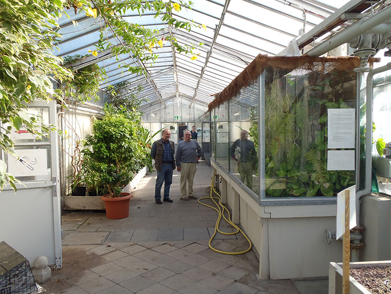 Die Orchideenhalle