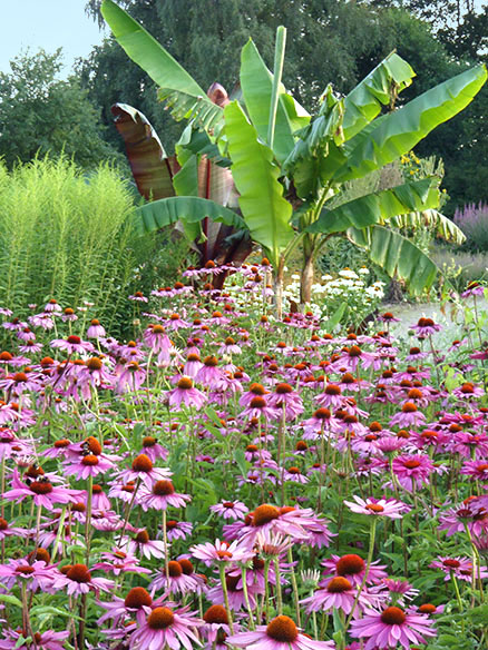 Im Staudengarten
