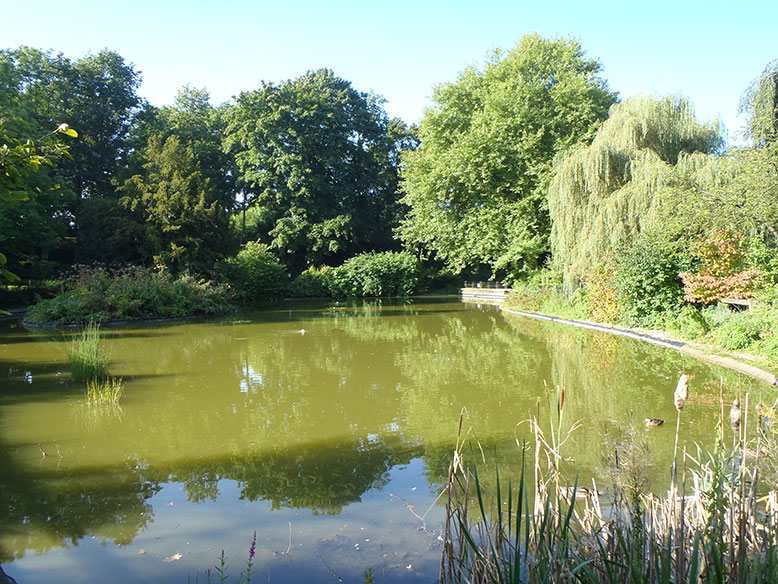 Der Teich